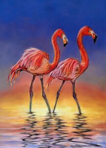 tekening Flamingo's